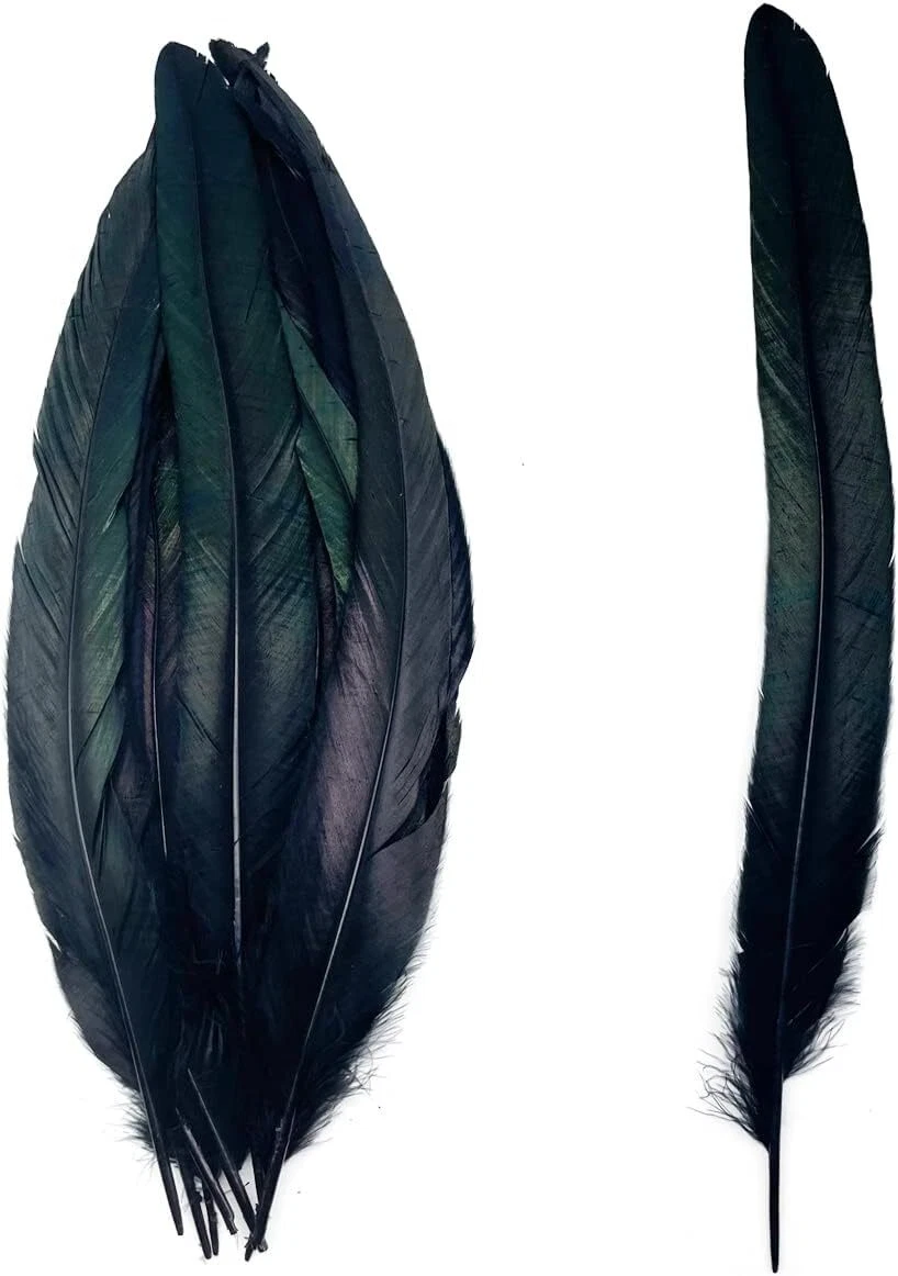 Piume Decorative Piccole Vere Piume Di Uccelli
