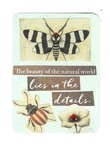 ACEO Art Trading Card ATC Original Collage Butterfly Moth Beetle Insects Flower