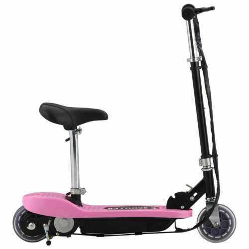 Monopattino Elettrico Ninebot KickScooter MAX G30 - Sports In vendita a