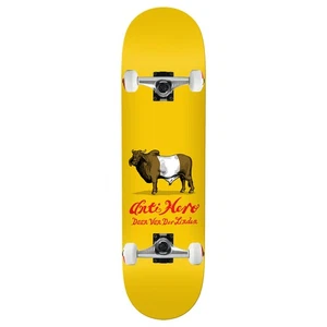 Anti Hero Skateboard Assembly Daan Dutch Belted 8.28" x 31.7" Complete