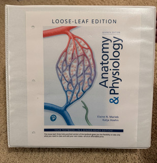 Anatomy and Physiology by Elaine Marieb and Katja Hoehn 7th edition