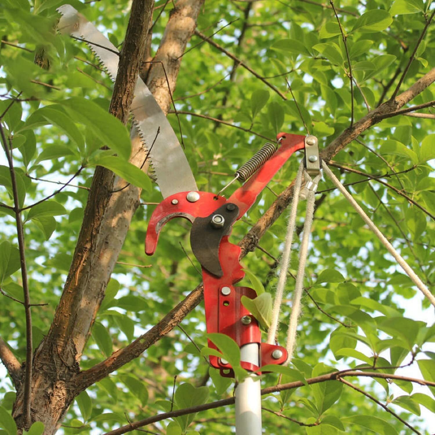 Retractable Tree Pruner Saw Garden Fruit Tree Trimmer Pruning Tool