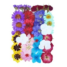 36pcs Dried Pressed Flowers for Crafts Resin DIY Art Natural Dry Rose Floral ...