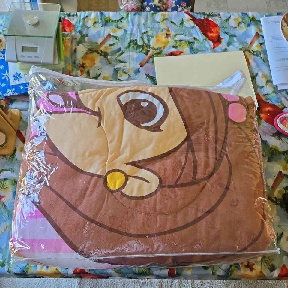 New! Vintage! Nick Jr 2005 DORA THE EXPLORER Maya/Miguel Twin Comforter 64x86 ! - Image 2 of 4