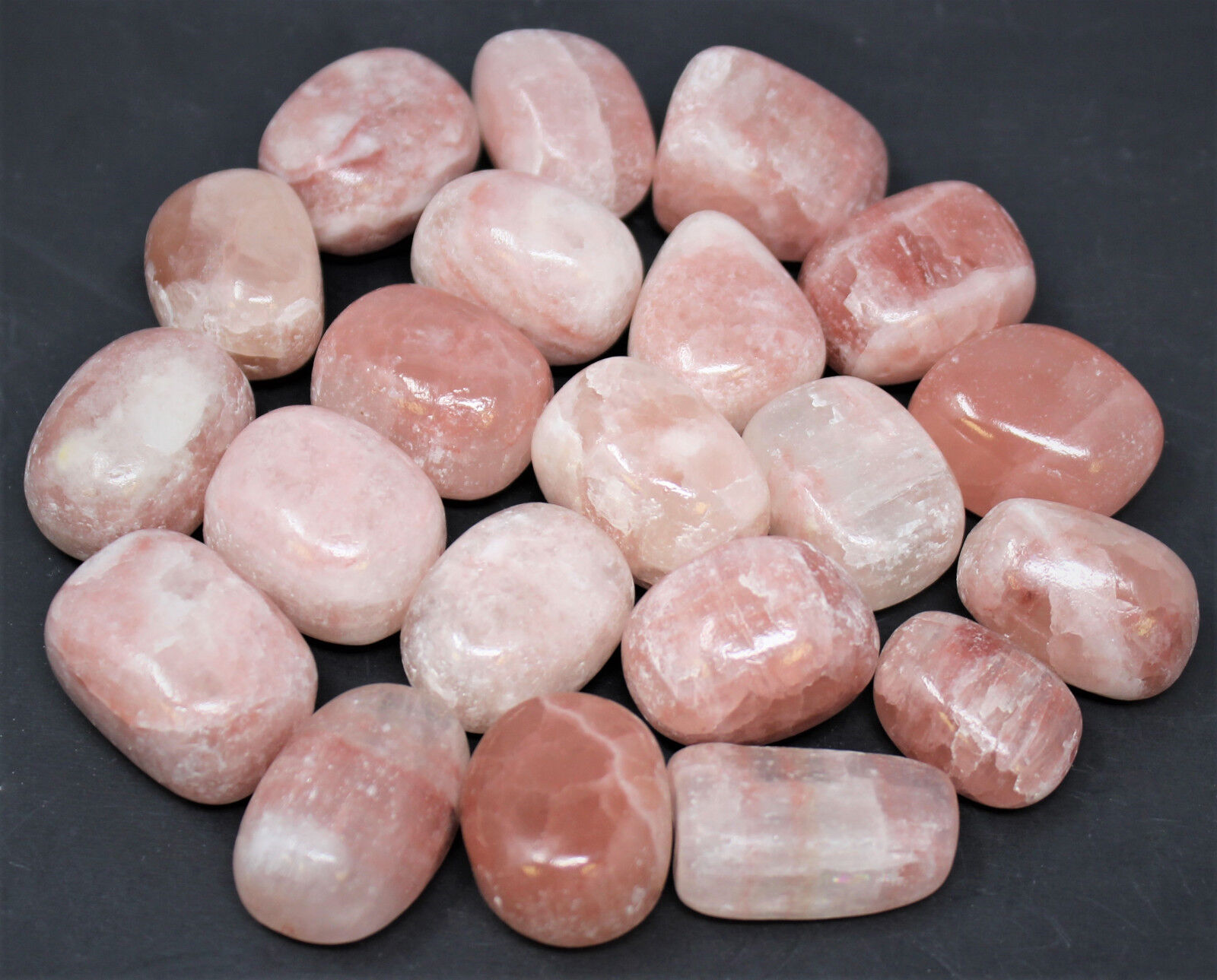 1//2 lb Bulk Medium Large Premium Grade Angelite Tumbled Stone Crystal 8 oz