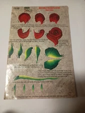 Plaid FolkArt One Stroke Reusable Teaching Guide (Long Stem Roses) O2