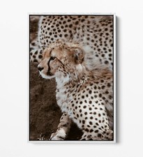 CHEETAH LARGE CANVAS WALL ART FLOAT EFFECT/FRAME/PICTURE/POSTER PRINT- BEIGE