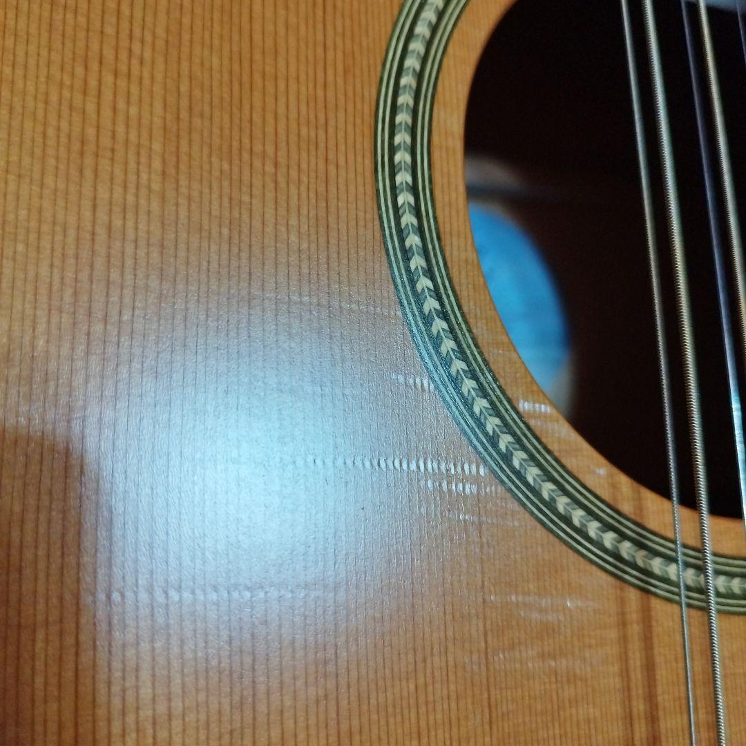 Acoustic Guitar Seagull Coastline S12 Cedar 12 Strings with 