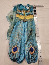 Disney Princess Jasmine Costume Dress