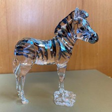 SWAROVSKI Eleganza d'Africa 2021 SCS Zebra Baby Zuri