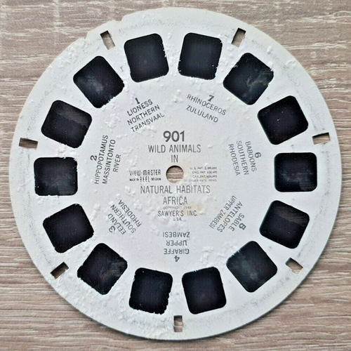 WILD ANIMALS IN NATURAL HABITATS AFRICA 1948 VIEWMASTER REEL 901 IN SLEEVE P495 - Picture 3 of 5