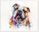 English Bulldog Watercolor Oil Painting Watercolor Print or Poster Various Sizes