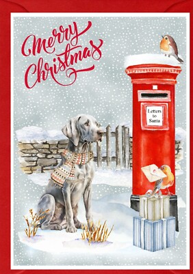 Weimaraner Hund A6 (4'' x 6'') Weihnachtskarte - innen leer - von Starprint