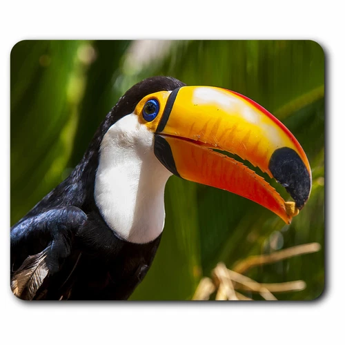 Computer Mouse Mat - Tropical Toucan Bird Jungle Birds Wild Office Gift #24311