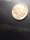 BUFFALO NICKEL 1913 CLASHED DIES UNDER CHIN OR CHIN WHISKERS TYPE 2 TONED