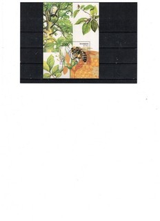 Weißrußland Insekt Biene Bl. 39