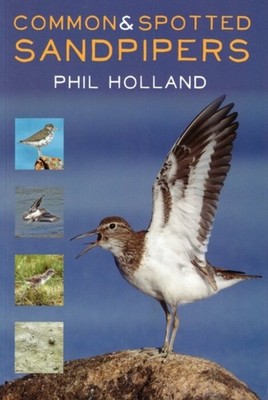 Common and Spotted Sandpipers by Phil Holland (Paperback Book)