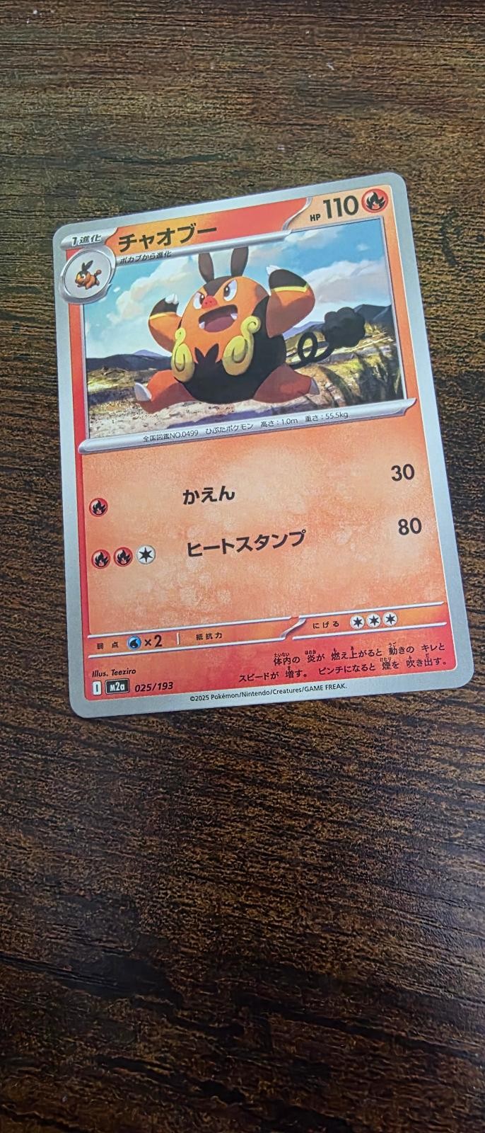 Pignite 025/193 MEGA Dream ex Pokemon Japanese Near Mint