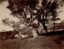 Giletta, Thorens, Barrack View Vintage Print Citrate Print 21x27 C