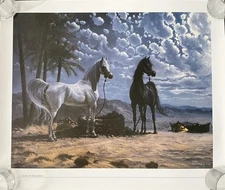 MARY HAGGARD PRINT TITLED FENCE ROW ENCOUNTER ARABIAN HORSES DOG 22”x26”