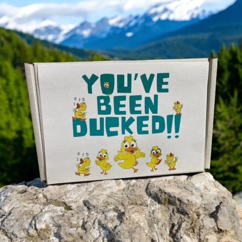 Nurse Rubber Duck Ducking Jeeps Birthday Gift for Nurse Medical Professional - Bild 6 von 10