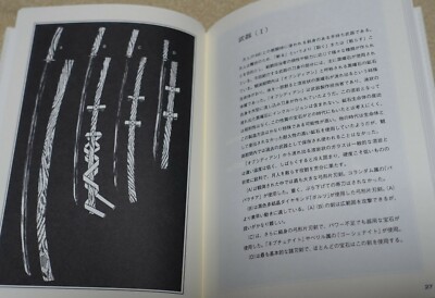 ヤザワエーきち本ナロー活着途中流木（約25cm×20cm×25cm） ヤザワエーきち本ナロー活着途中流木（約25cm×20cm×25cm