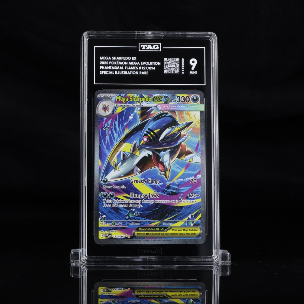 Reference image for Mega Sharpedo ex