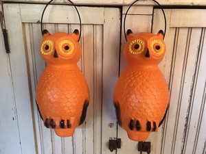 Forma do rozdmuchiwania Halloween Pomarańczowe Wiszące sowy Podświetlana PARA Produkty unijne 14"