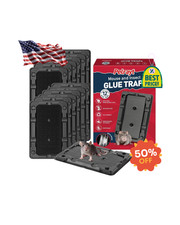 Mouse  Insect Traps 12 Pack, Heavier Sticky Traps with Non-Toxic Glue for Mice