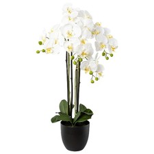 Schmetterlingsorchidee - Phalenopsis Weiß 4 Blütenrispen 83 cm - Kunstpflanzen