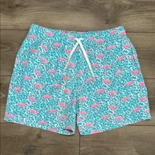 NWOT Chubbies 5.5"  Flamingo Print Swim Trunks Pink Blue Size Large