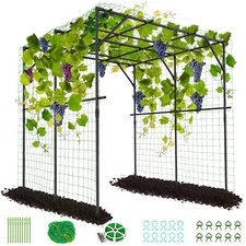 Garden Arch Trellis for Climbing Plants, 79'' Lx79'' Wx79'' H Arch Arbor Trellis