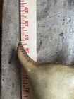 2 Navajo Rawhide Rattles With Beaded Handle 16.5” Buffalo and Turtle — photo 9