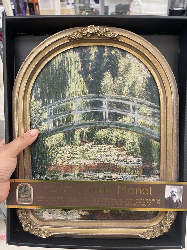 Arte viral de Claude Monet Foto 2 de 2