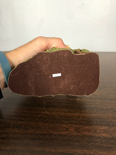 Queen on Throne of Skulls Figure Myths & Legends Summit Collection 7" T 7" L - Picture 7 of 8