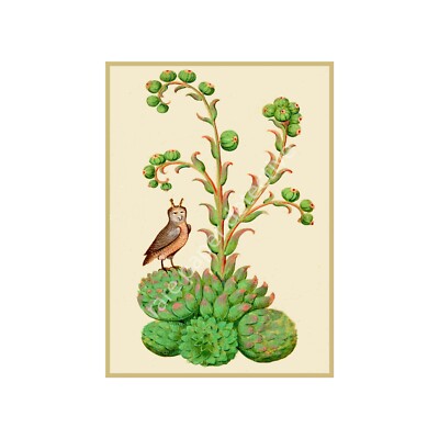 Botanical Print, Antique Flower Art with Bird, Reproduction Art, 5'' x 7''