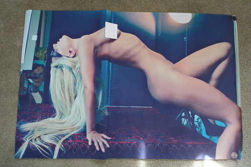 Lady Gaga Bare Skin Silk Cloth Wall Poster Print 36 X 24 New But Vintage Rare