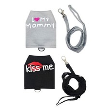 Small Pet Harness and Leash for Bearded Dragons Reptiles Harness Training Suit