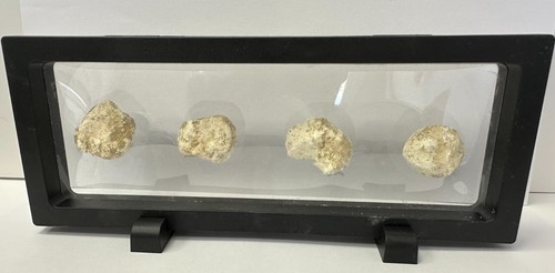 Palline di zolfo zolfo di Sodoma e Gomorra cristianesimo biblico in esposizione - Foto 16 di 21