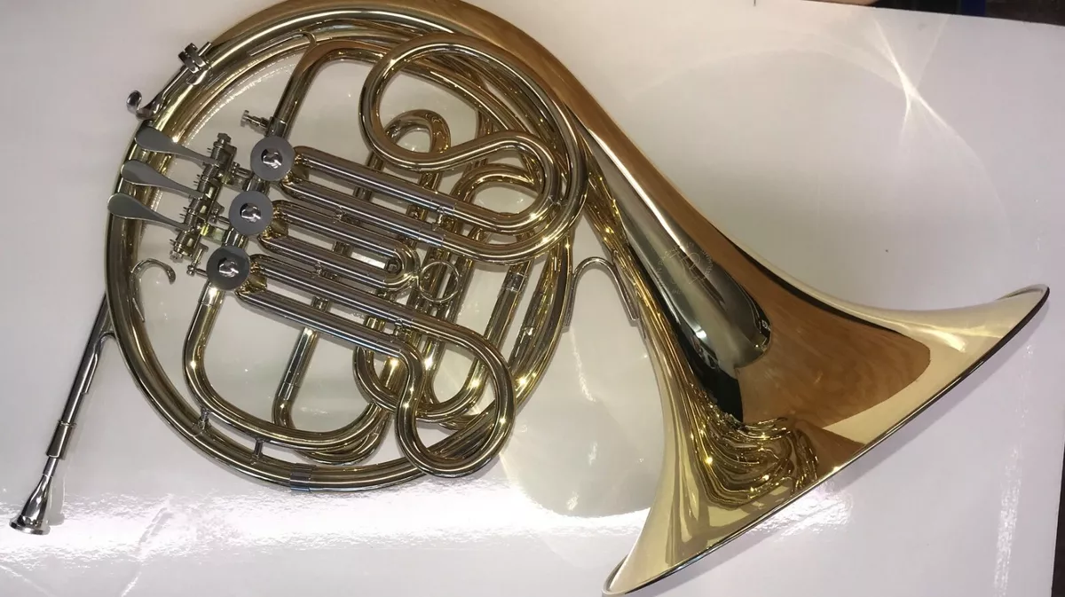 Best beginner french sale horn