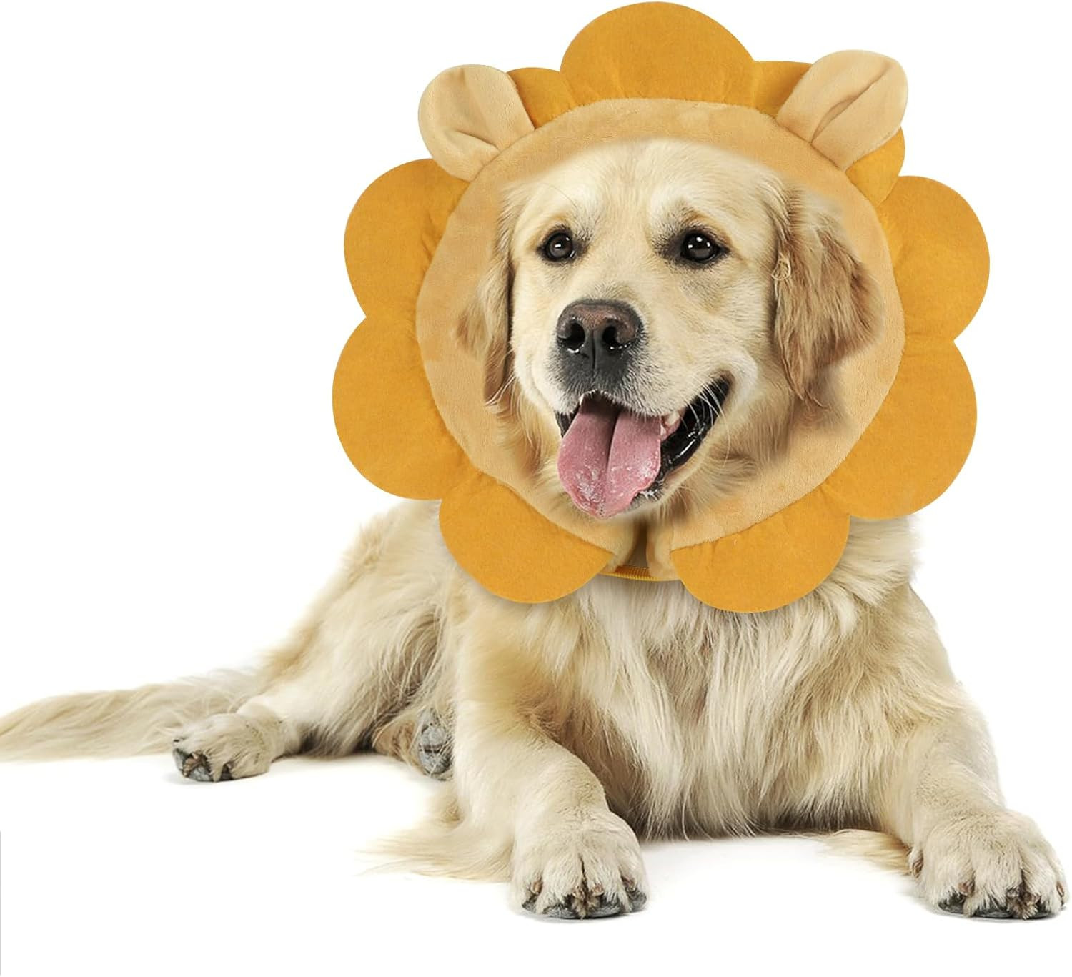 Ciambella per Cane Post Operazione - Collare Morbido e Regolabile