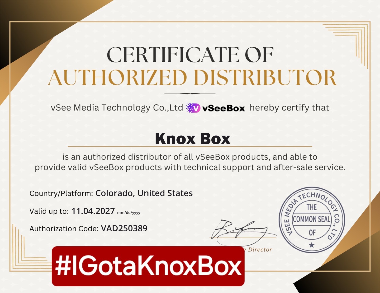 VSEE V3 Plus Android Streaming Box TV Internet Netflix Hulu Disney FREE