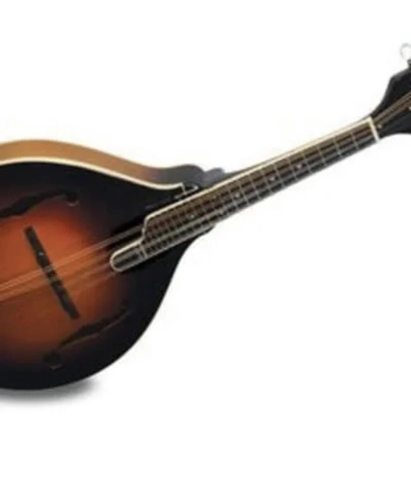 Morgan Monroe MM-100AM A-Style Mandolin - Image 3 of 3