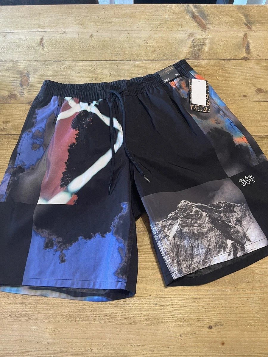 Vans active hotsell shorts