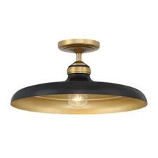 Minka Lavery 3936-876 - Ceiling Fixtures Indoor Lighting