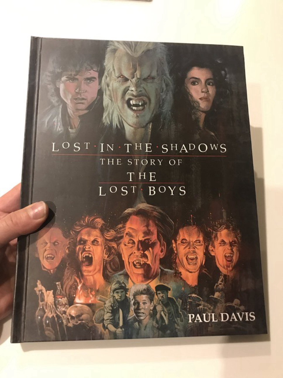 lost in the shadows the story of the lost boys softback book NEW