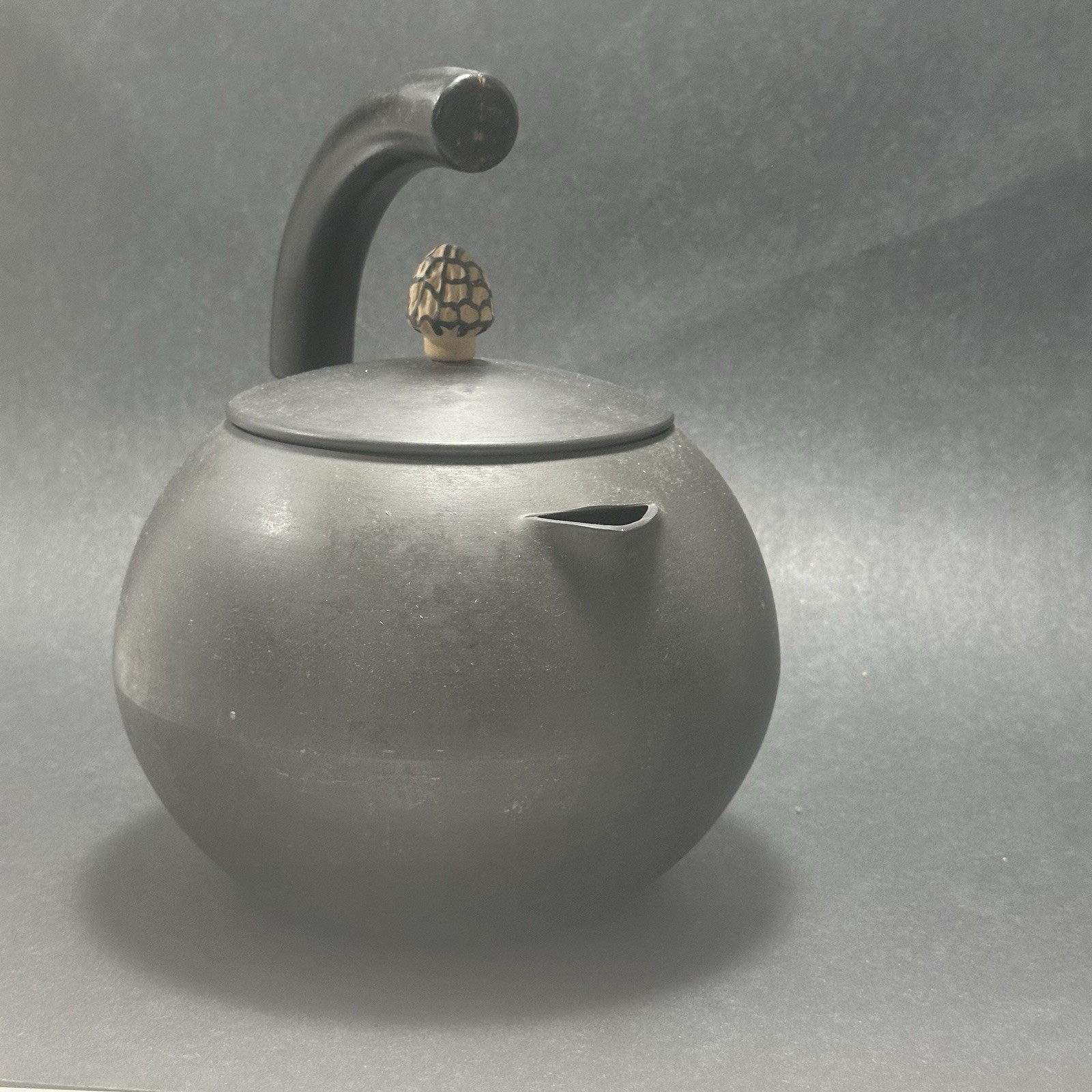 Vintage Calphalon Anodized Tea Kettle Pot, Morel Mushroom, Ireland