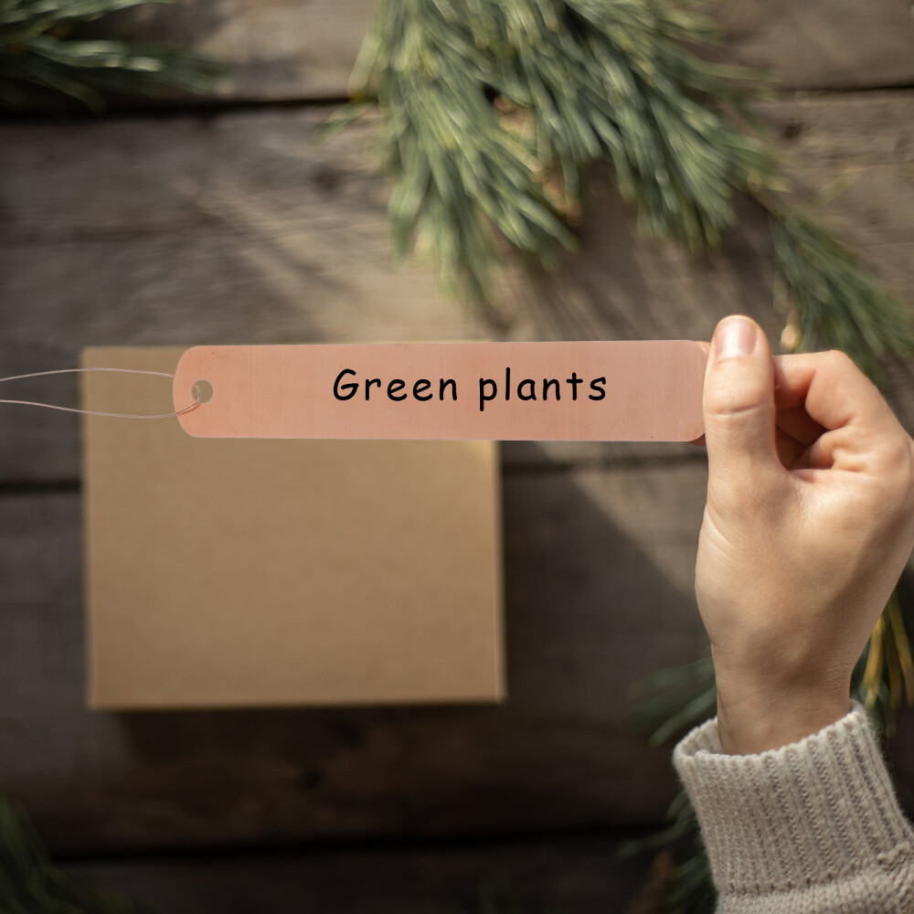 3 Set Metal Plant Tags Copper Markers with Hole Outdoor Plants eBay