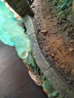 Bild 12 von 15