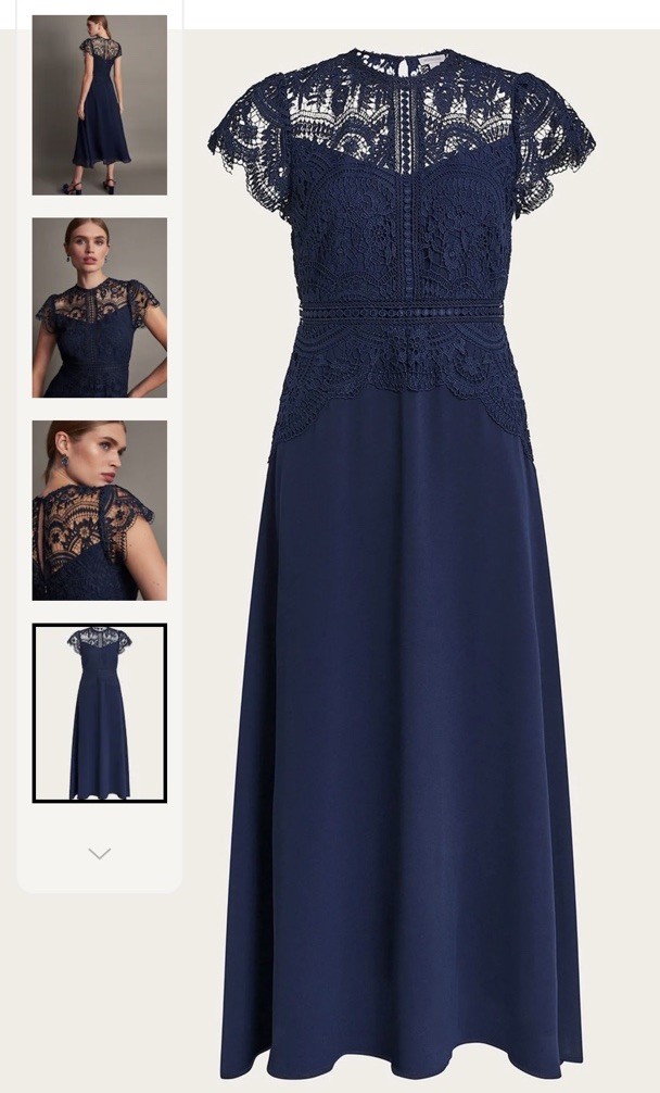 Lace Midi Monsoon Dresses Midi Monsoon- Maria Palm Lace Midi Dress